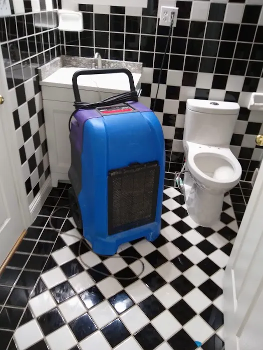 Fast Power Water Damage Restoration and Mold Clean Up Picture 5