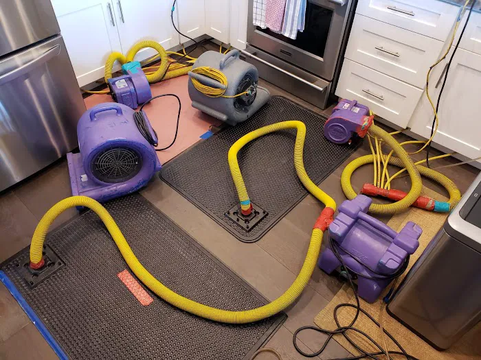 Fast Power Water Damage Restoration and Mold Clean Up Picture 9