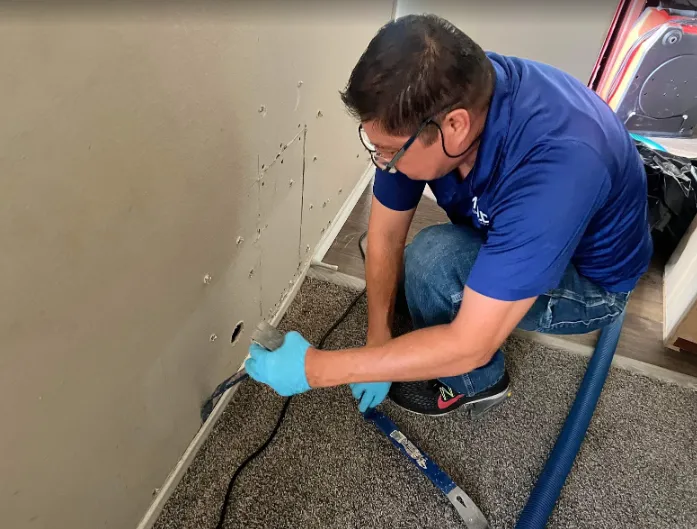 Expert Water Damage & Restoration Picture 2