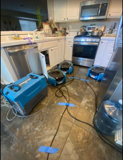 Expert Water Damage & Restoration Picture 1