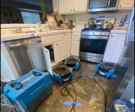 Expert Water Damage & Restoration