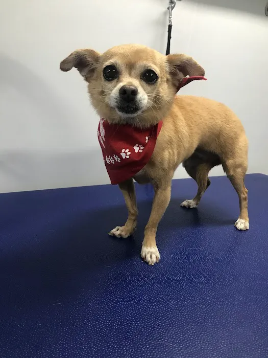 123 Restoration Picture 2