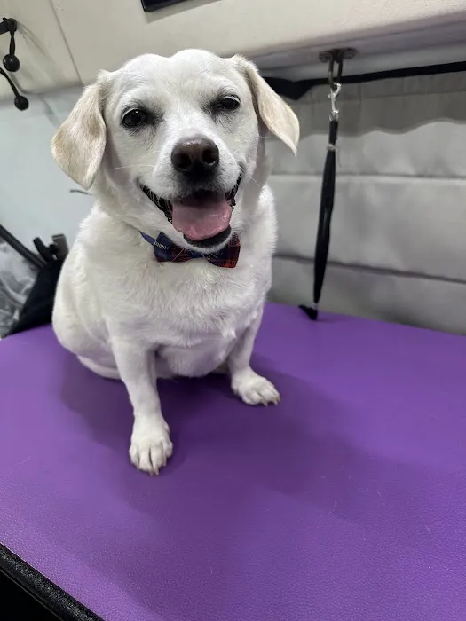 123 Restoration Picture 1