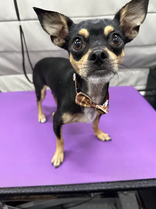 123 Restoration Picture 7