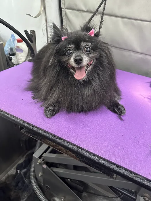 123 Restoration Picture 8