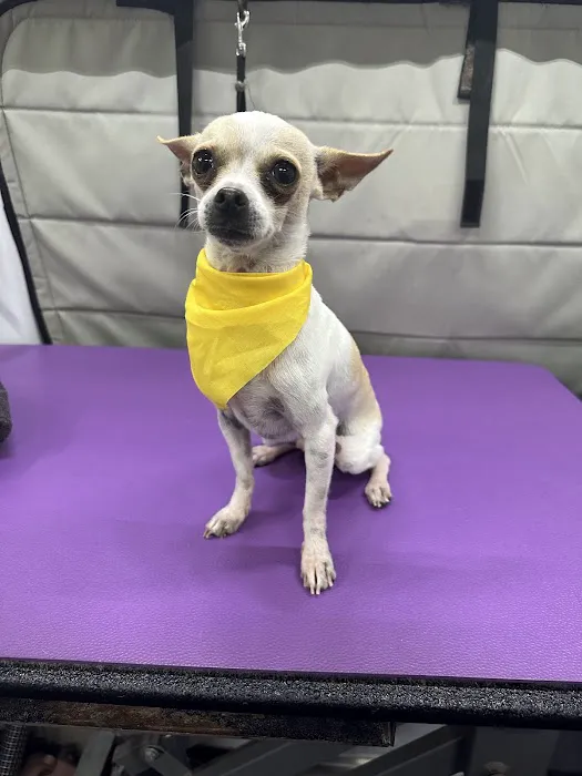 123 Restoration Picture 9