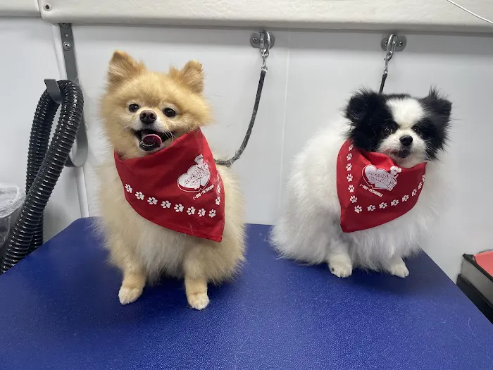 123 Restoration Picture 4