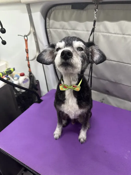 123 Restoration Picture 5