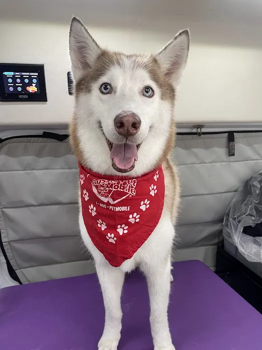 123 Restoration Picture 3