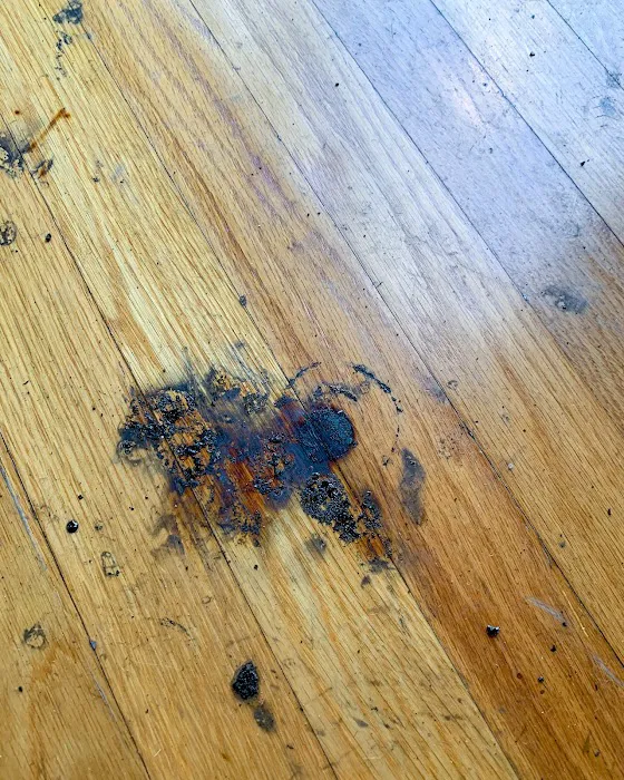 SERVPRO of Van Nuys South Picture 10