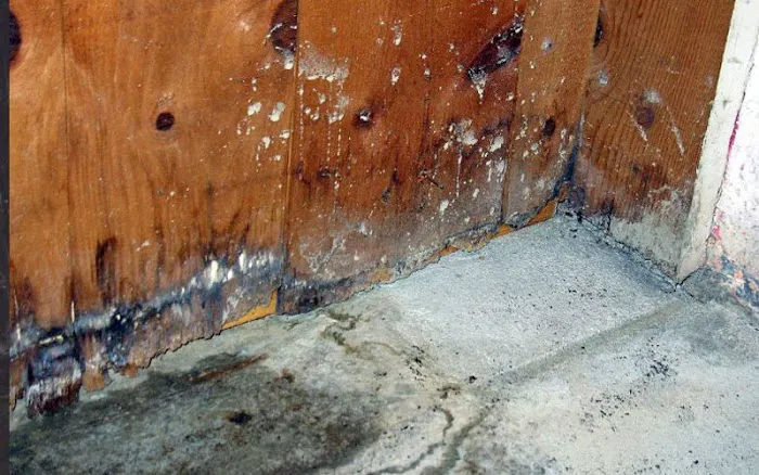 TipTop Restoration inc Picture 1