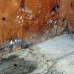 TipTop Restoration inc