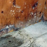 TipTop Restoration inc ico