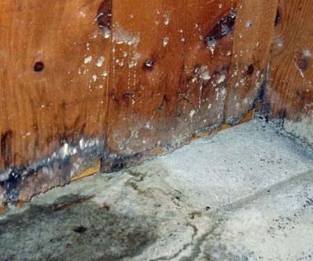 TipTop Restoration inc