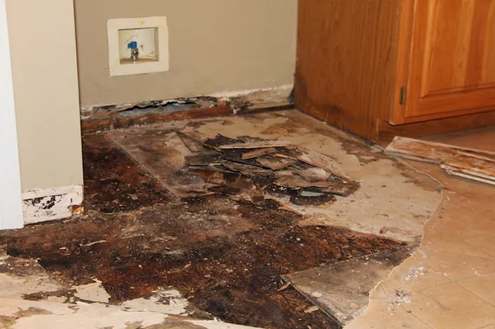 TipTop Restoration inc Picture 4