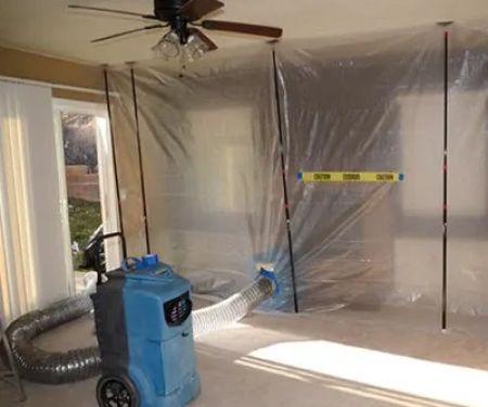 Blue Star Water Damage Remediation and Mold Removal