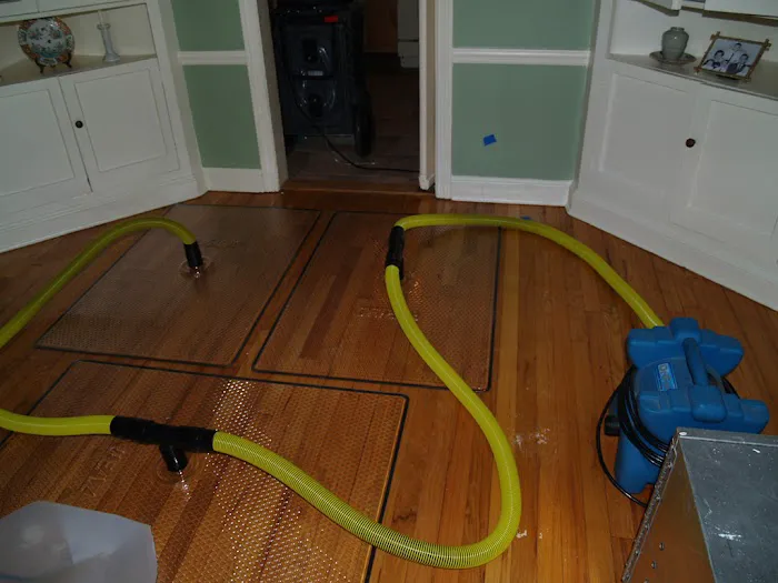 Blue Star Water Damage Remediation and Mold Removal Picture 2