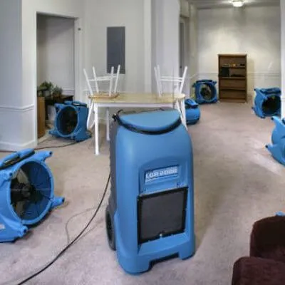 Water Damage Restoration Champion Picture 1