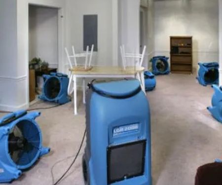 Water Damage Restoration Champion