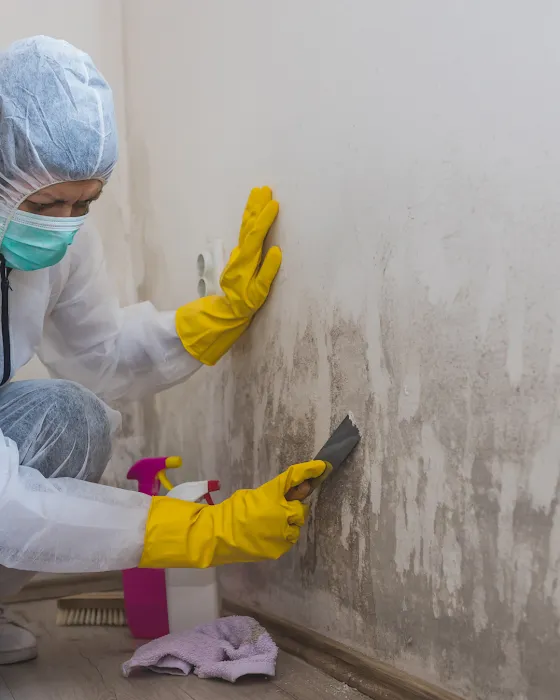 ASAP Restoration & Remodeling Picture 10