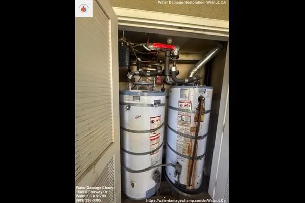 Water Damage Champ Picture 5