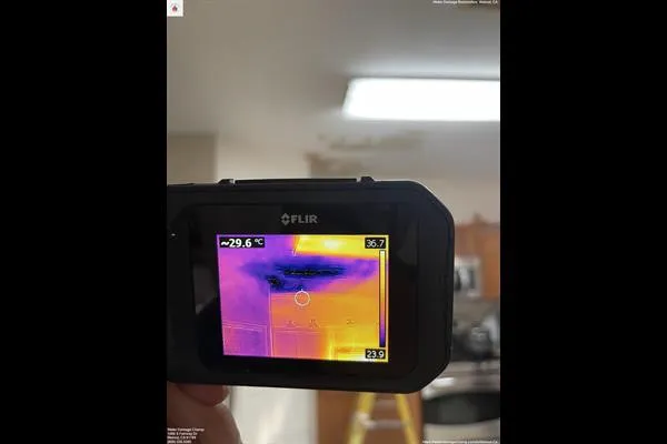 Water Damage Champ Picture 2