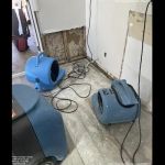 Water Damage Champ