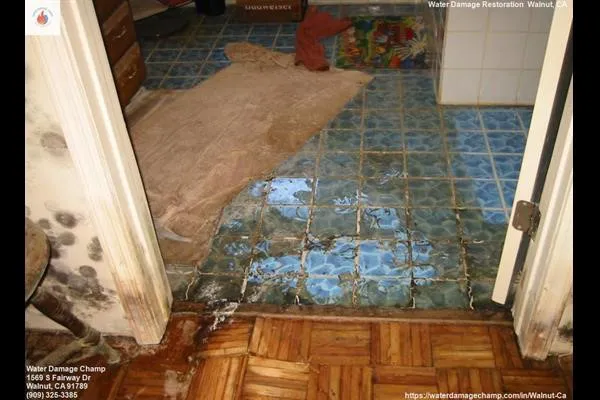 Water Damage Champ Picture 8