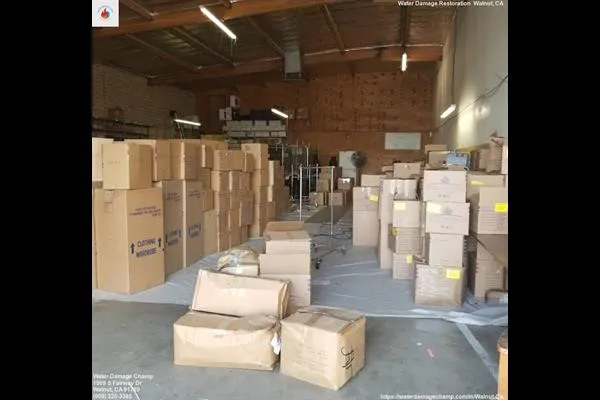 Water Damage Champ Picture 3