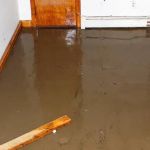 Legend Water Damage
