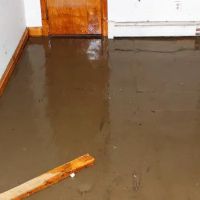Legend Water Damage ico