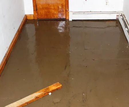 Legend Water Damage