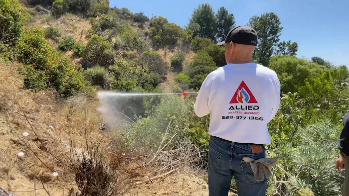 Allied Disaster Defense Picture 4