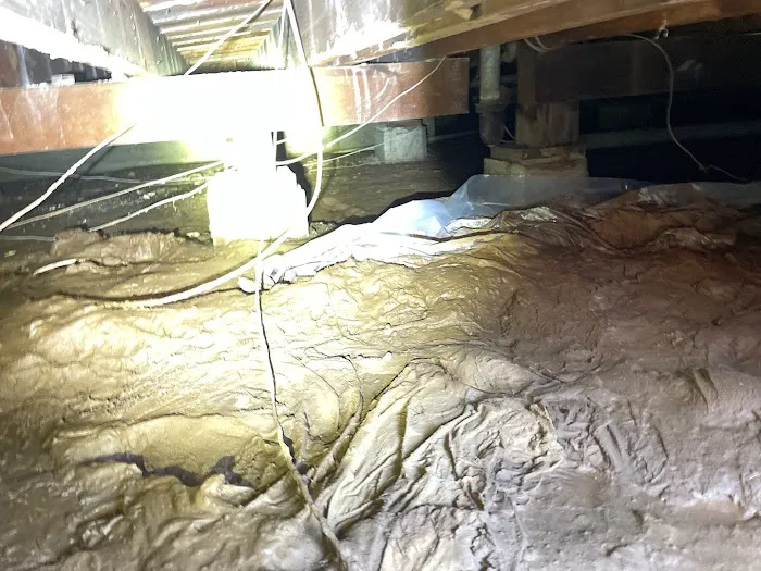 PuroClean of San Dimas Picture 9