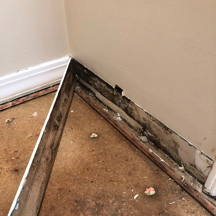 PuroClean of San Dimas Picture 7