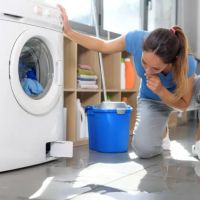 Elite Water Damage Solutions Santa Monica ico