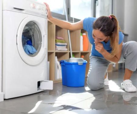 Elite Water Damage Solutions Santa Monica