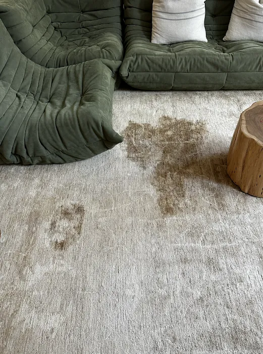 Babash Rug Services - Rug Cleaning & Rug Repair Picture 10