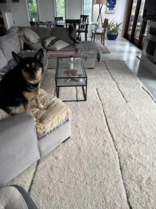 Babash Rug Services - Rug Cleaning & Rug Repair Picture 5