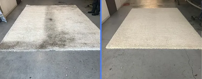 Babash Rug Services - Rug Cleaning & Rug Repair Picture 2