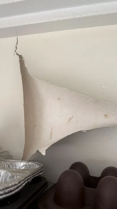 Hydro Hero Restoration Malibu/Pacific Palisades Picture 6