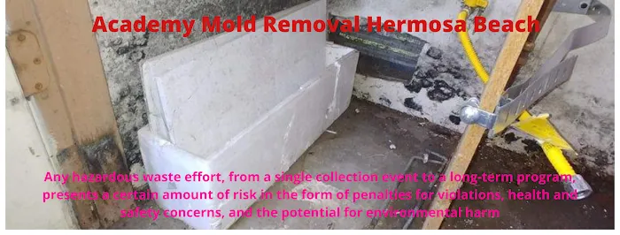 Academy Mold Removal Hermosa Beach Picture 10