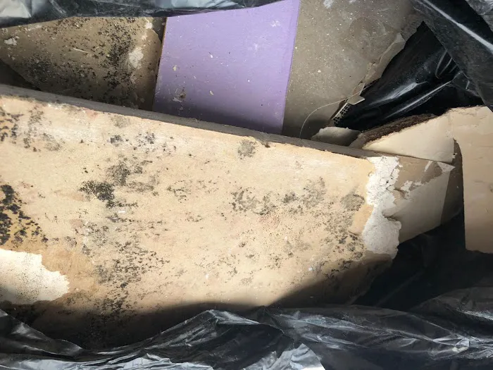 Academy Mold Removal Hermosa Beach Picture 9