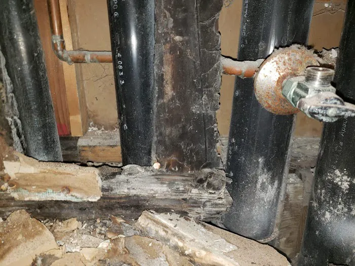 Academy Mold Removal Hermosa Beach Picture 4