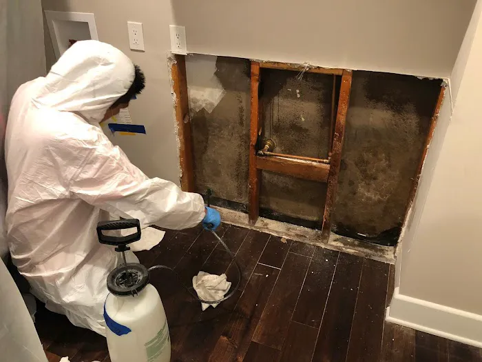 Academy Mold Removal Hermosa Beach Picture 2