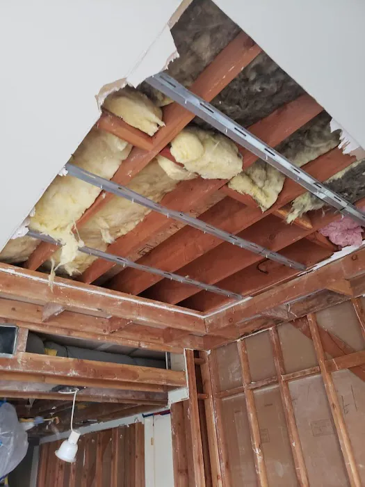 Academy Mold Removal Hermosa Beach Picture 5