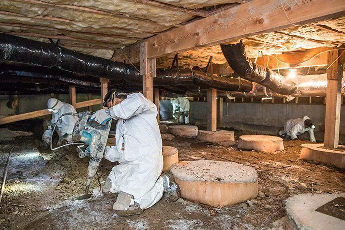 Academy Mold Removal Hermosa Beach Picture 6