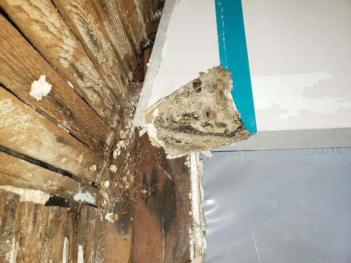 Academy Mold Removal Hermosa Beach Picture 7