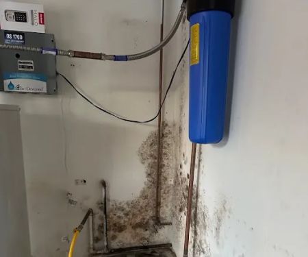 Recovery restoration pros