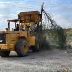 Mayfield Environmental Solutions